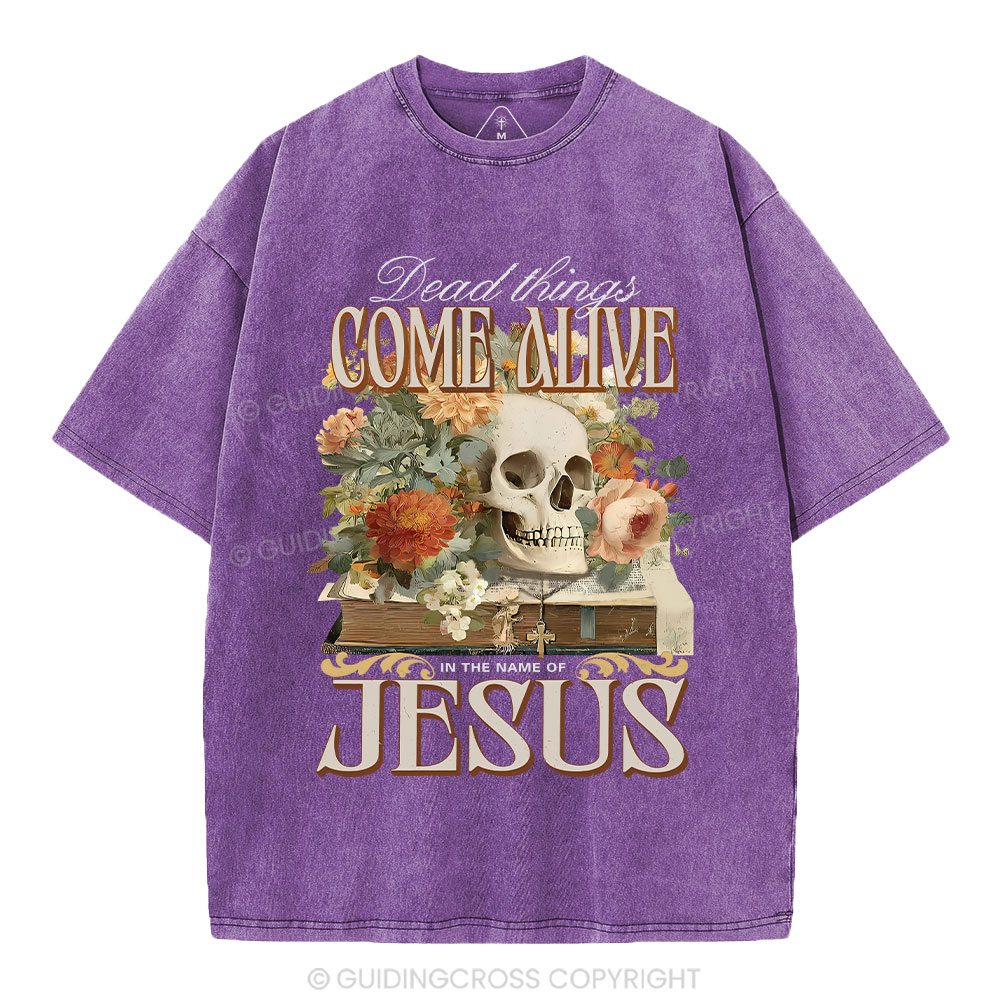 Dead Things Come Alive In The Name Of Jesus Christian Washed T
