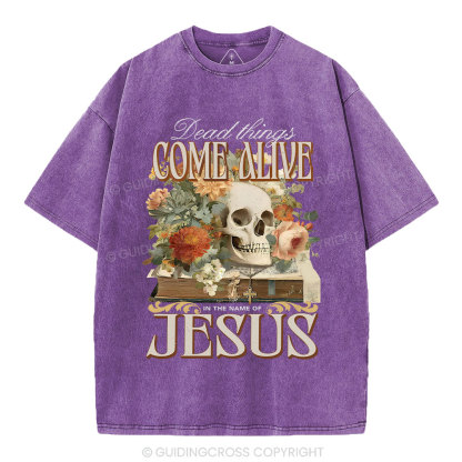 Dead Things Come Alive In The Name Of Jesus Christian Washed T-Shirt