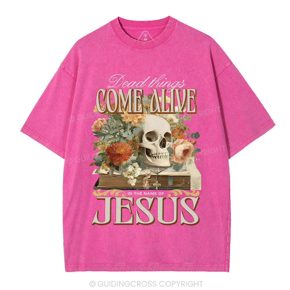 Dead Things Come Alive In The Name Of Jesus Christian Washed T-Shirt