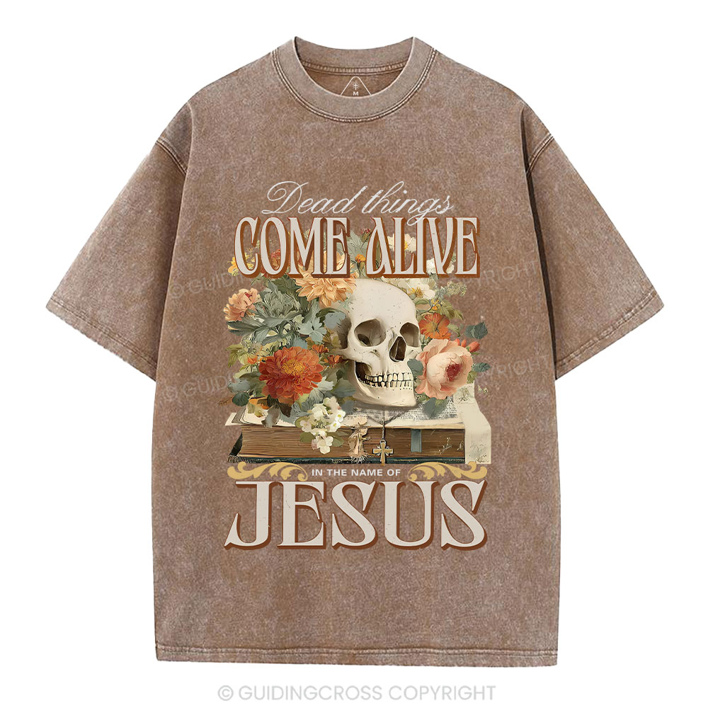 Dead Things Come Alive In The Name Of Jesus Christian Washed T-Shirt