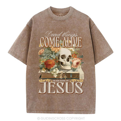 Dead Things Come Alive In The Name Of Jesus Christian Washed T-Shirt