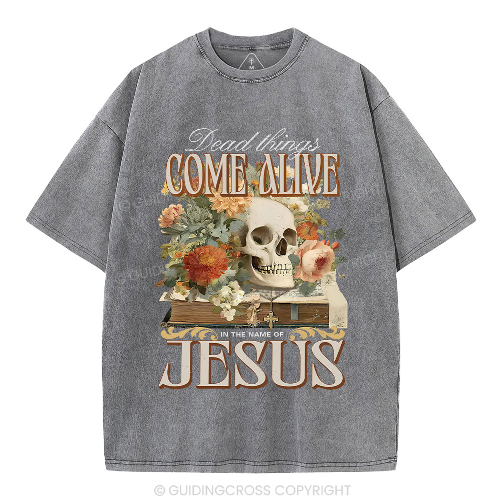 Dead Things Come Alive In The Name Of Jesus Christian Washed T-Shirt