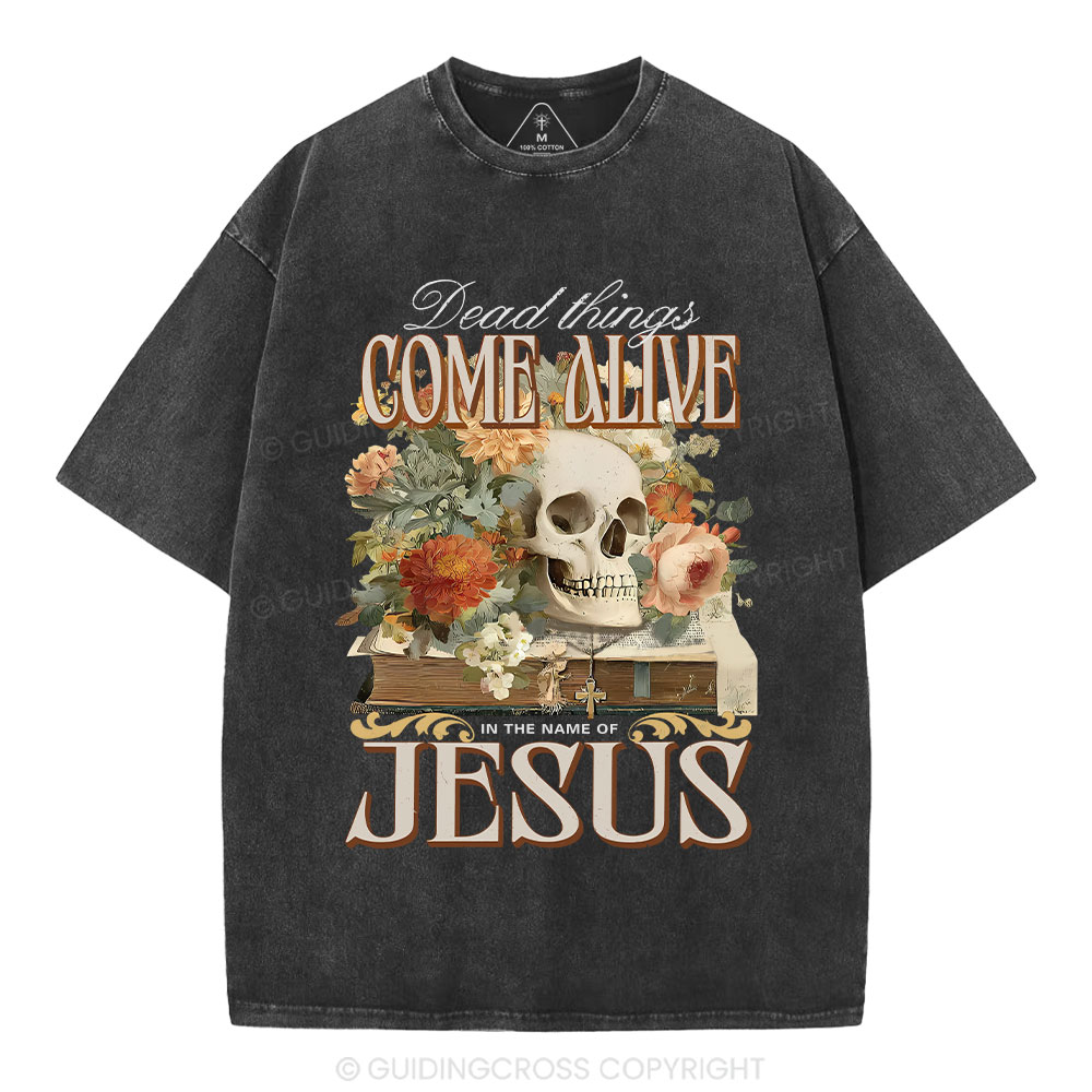 Dead Things Come Alive In The Name Of Jesus Christian Washed T-Shirt