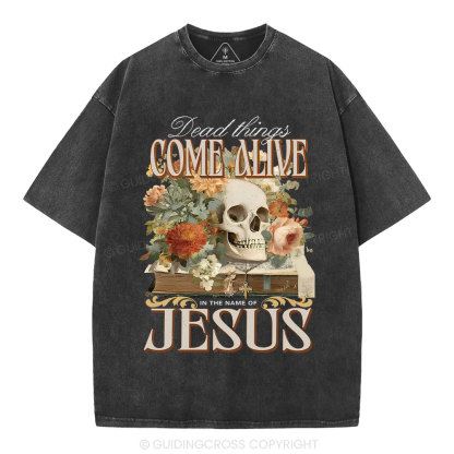 Dead Things Come Alive In The Name Of Jesus Christian Washed T-Shirt