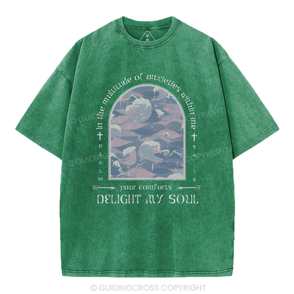 Delight My Soul Christian Washed T-Shirt