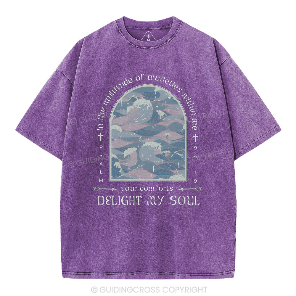 Delight My Soul Christian Washed T-Shirt