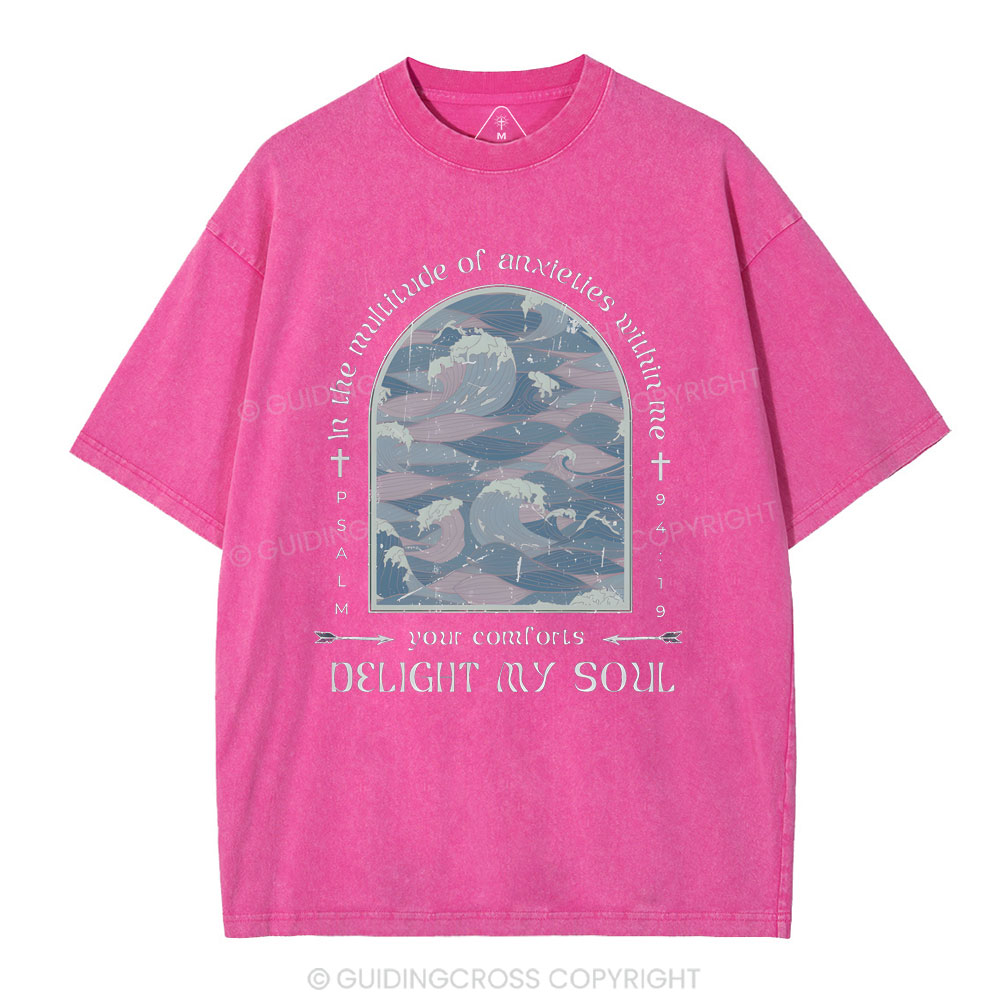Delight My Soul Christian Washed T-Shirt