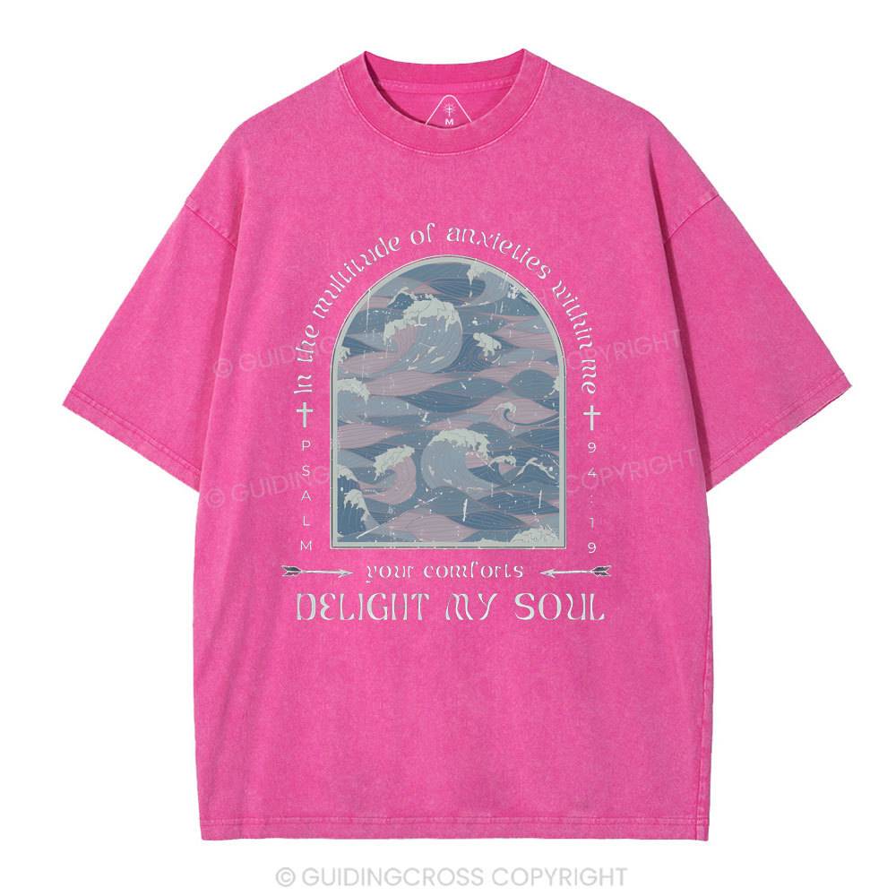 Delight My Soul Christian Washed T-Shirt