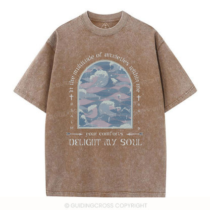 Delight My Soul Christian Washed T-Shirt