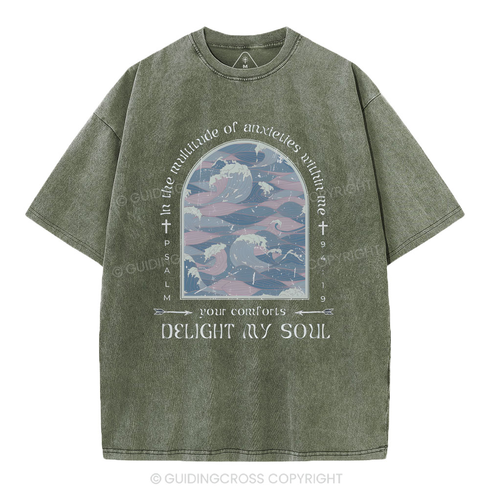 Delight My Soul Christian Washed T-Shirt