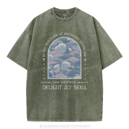 Delight My Soul Christian Washed T-Shirt