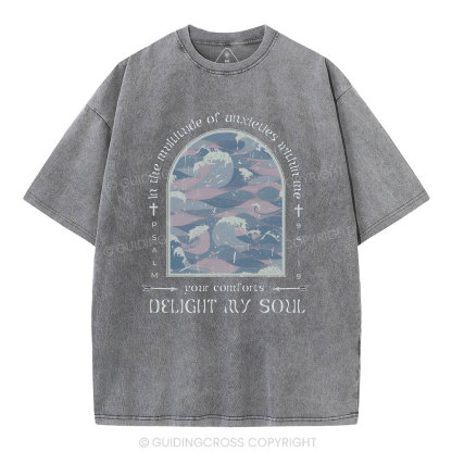 Delight My Soul Christian Washed T-Shirt