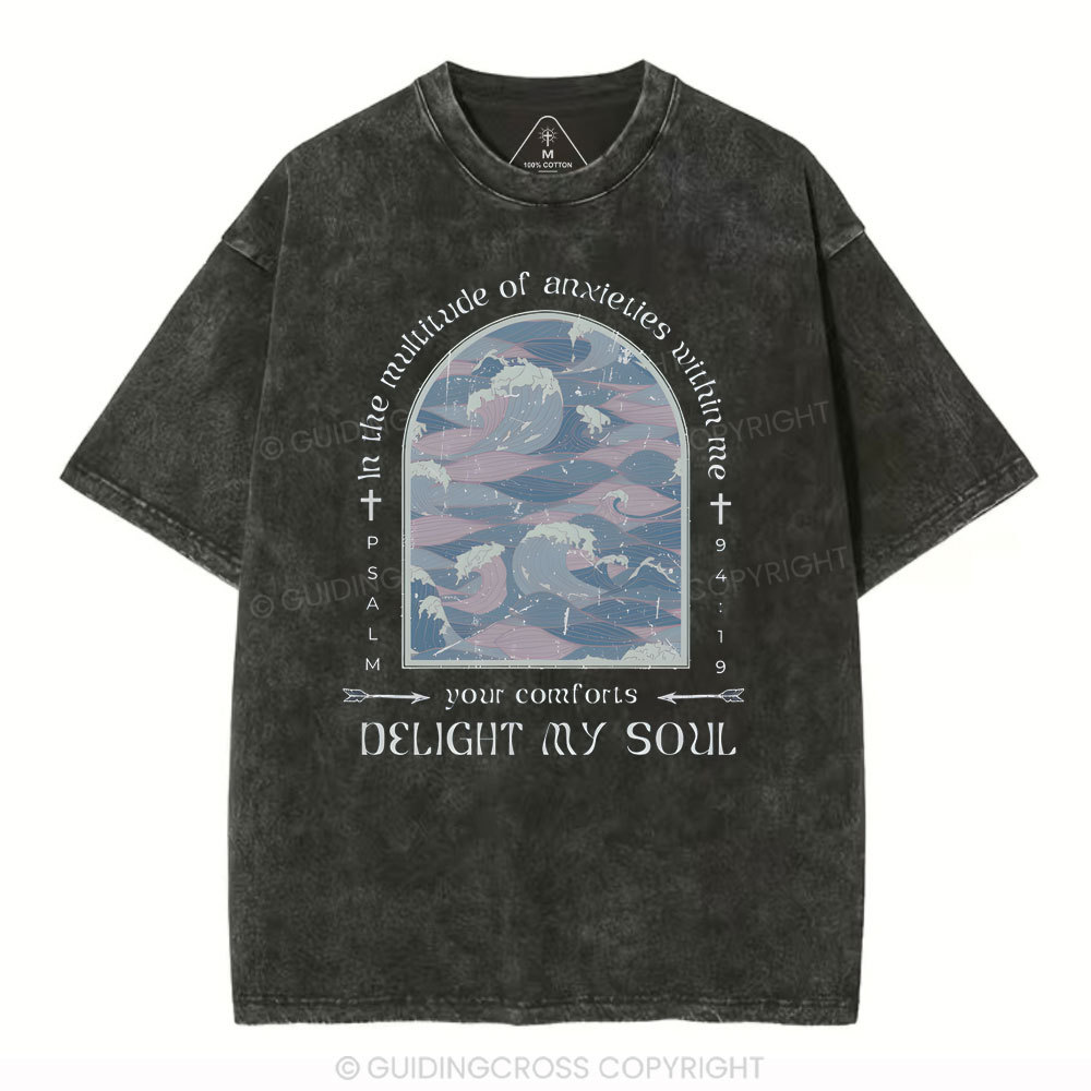 Delight My Soul Christian Washed T-Shirt