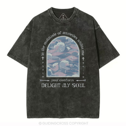Delight My Soul Christian Washed T-Shirt