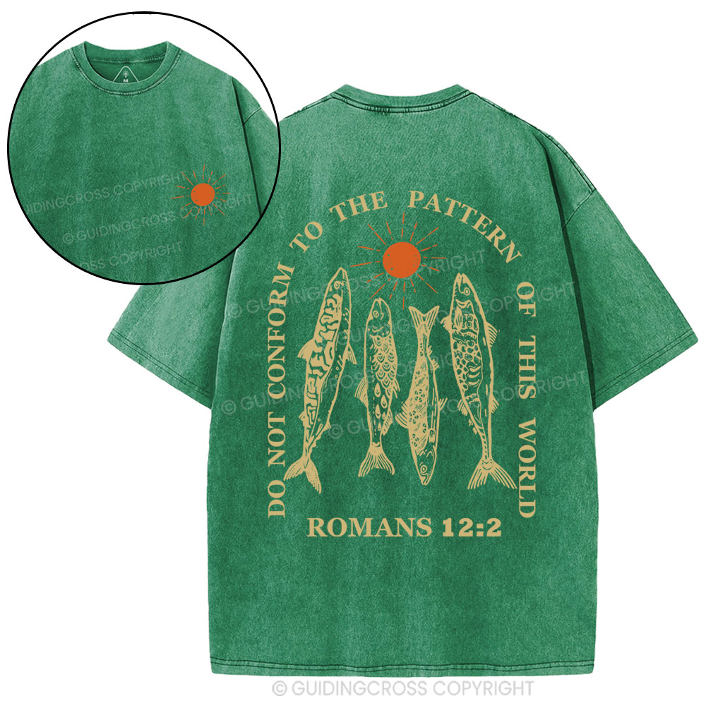 Do Not To The Pattern Of This World Christian Washed T-Shirt