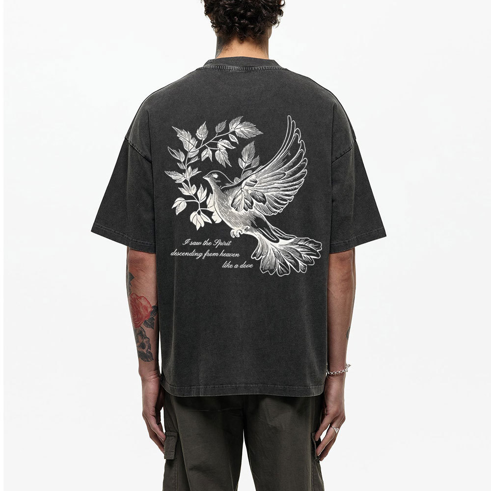 Dove Christian Washed T-Shirt