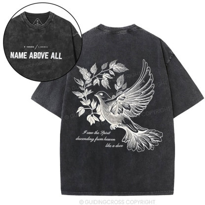 Dove Christian Washed T-Shirt