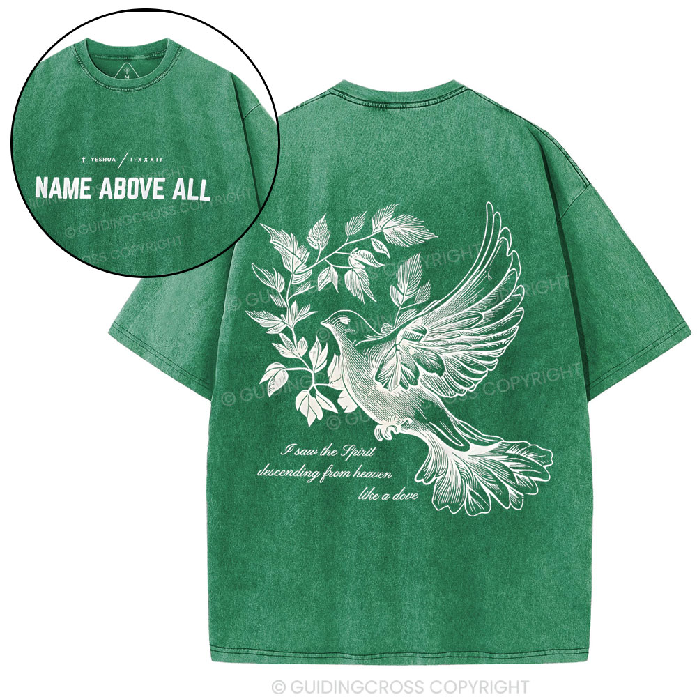 Dove Christian Washed T-Shirt