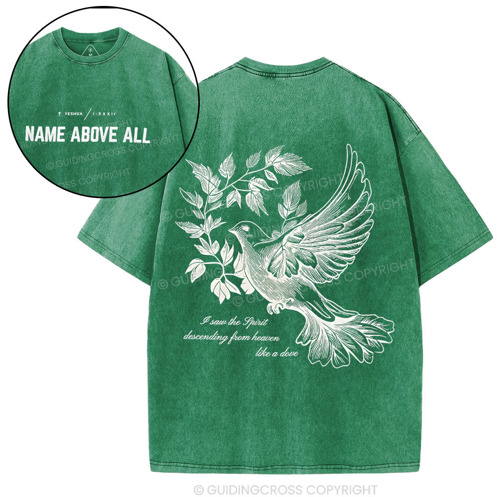 Dove Christian Washed T-Shirt