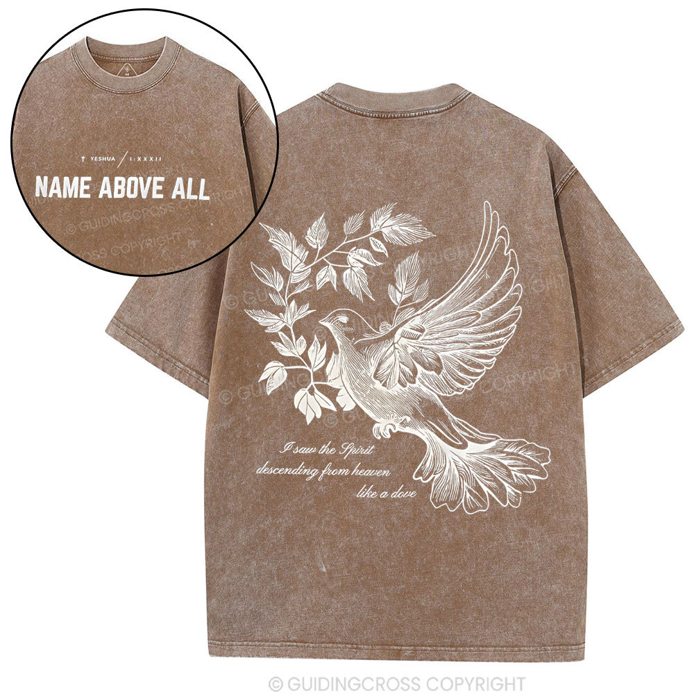 Dove Christian Washed T-Shirt