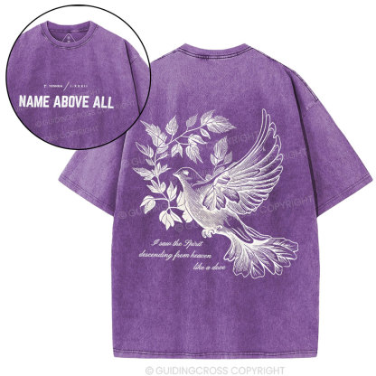 Dove Christian Washed T-Shirt