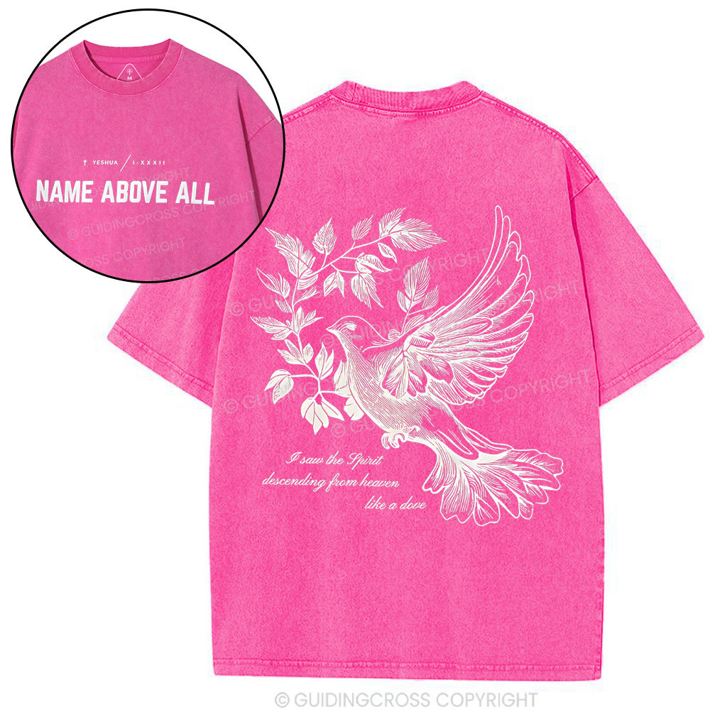 Dove Christian Washed T-Shirt
