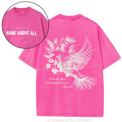 Dove Christian Washed T-Shirt