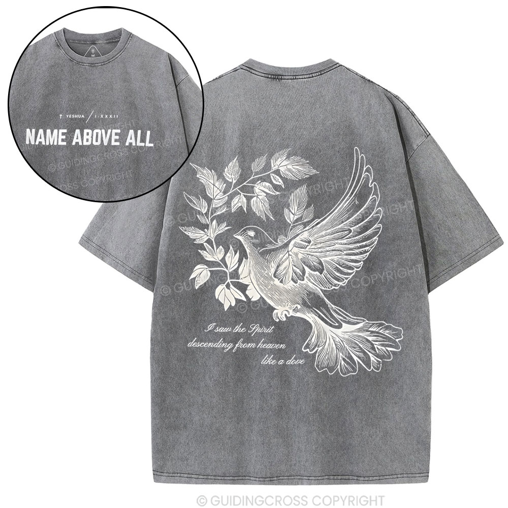 Dove Christian Washed T-Shirt