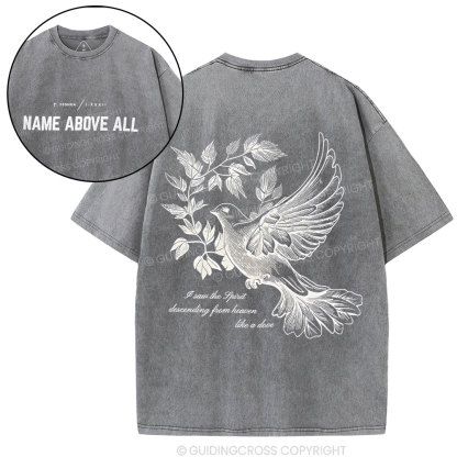 Dove Christian Washed T-Shirt