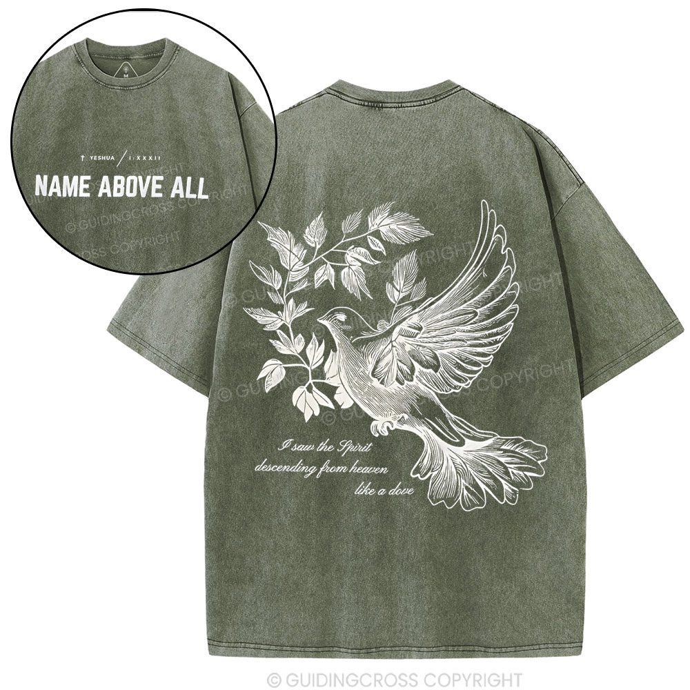 Dove Christian Washed T-Shirt