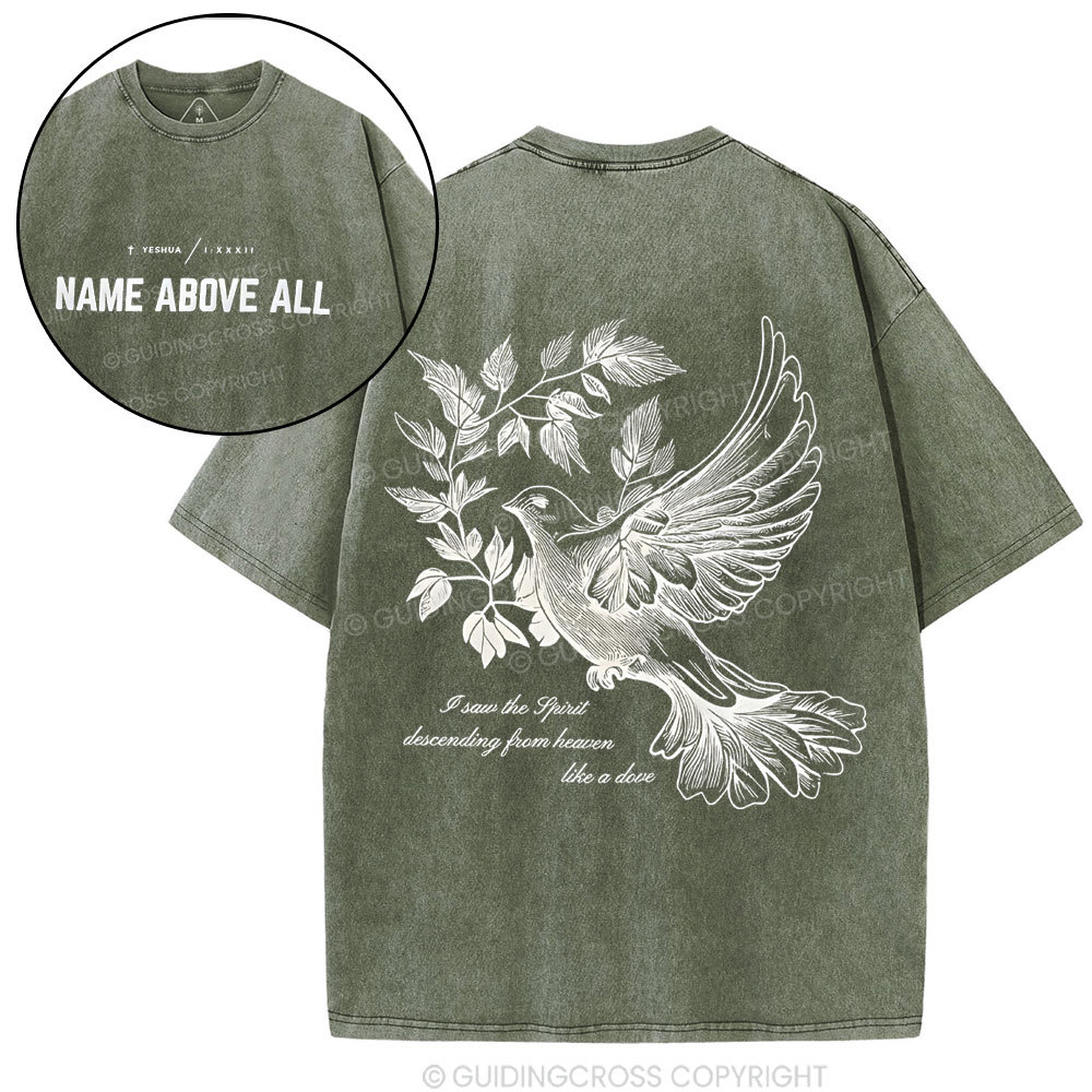 Dove Christian Washed T-Shirt