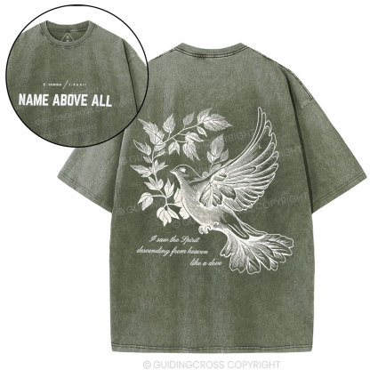 Dove Christian Washed T-Shirt