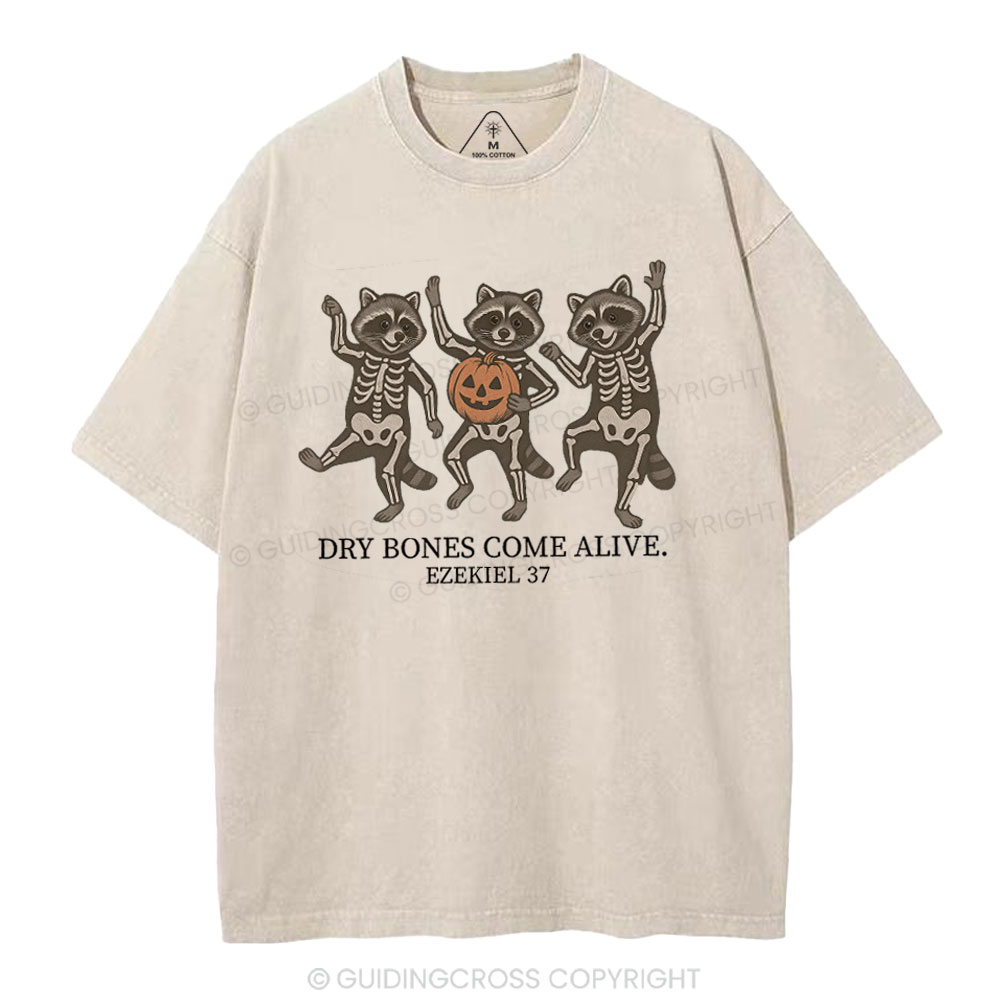 New-Sample Christian Washed T-Shirt Sale - GuidingCross