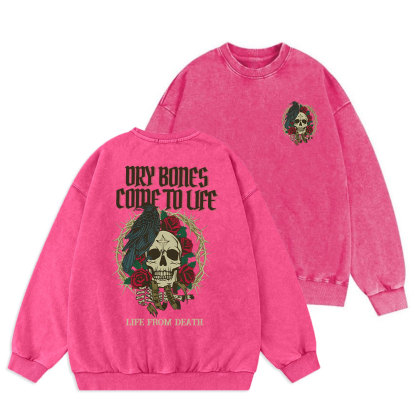 Dry Bones Come To Life Christian Washed Sweatshirt