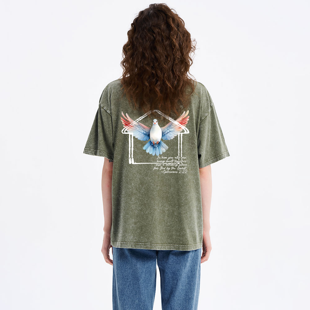 Dwelling Place Dove Christian Washed T-Shirt