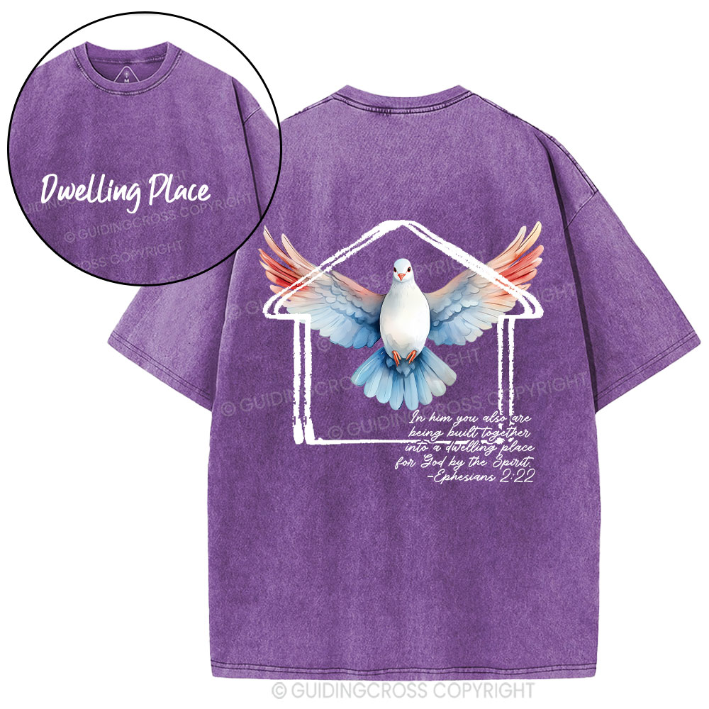 Dwelling Place Dove Christian Washed T-Shirt