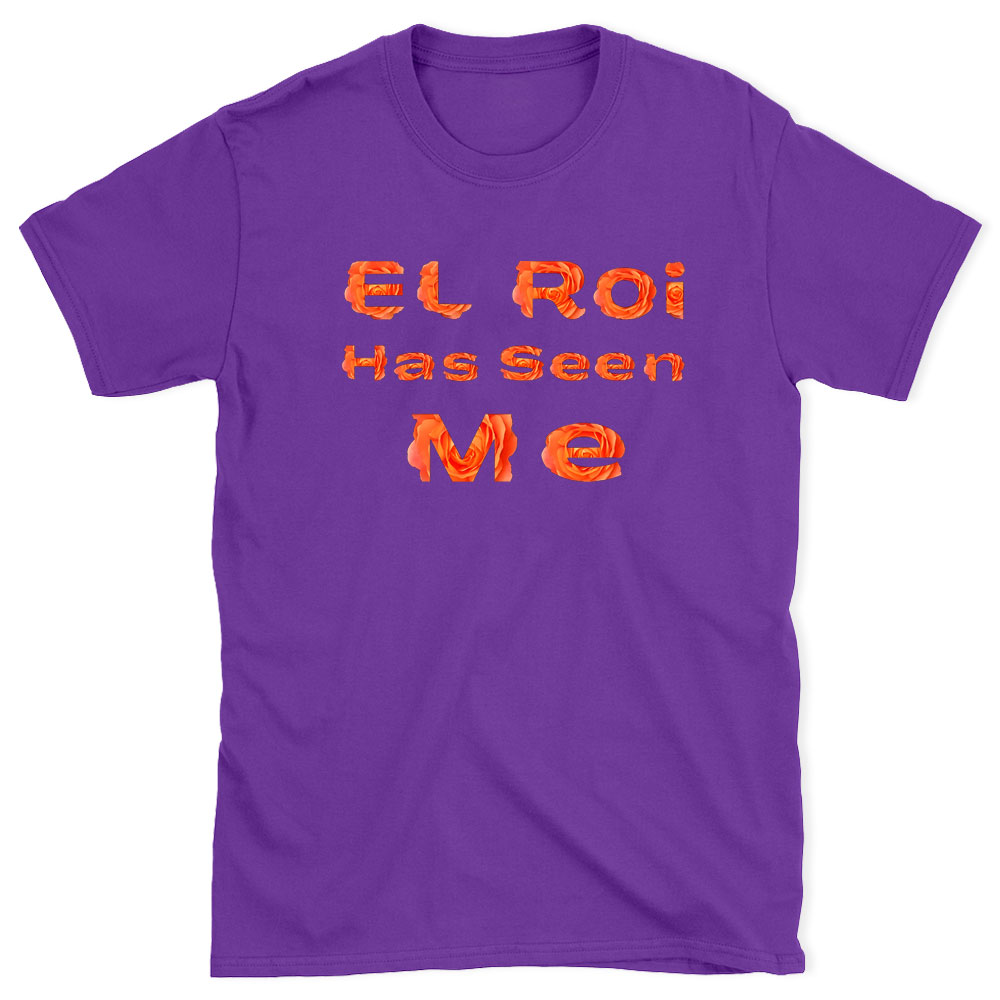 EL ROI Has Seen Me Christian T-Shirt