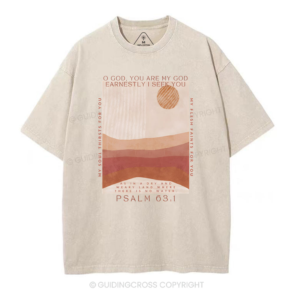 Earnestly I Seek You Christian Washed T-Shrit