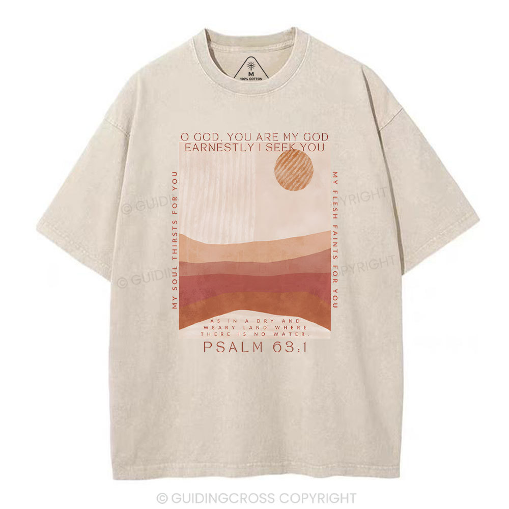 Earnestly I Seek You Christian Washed T-Shrit