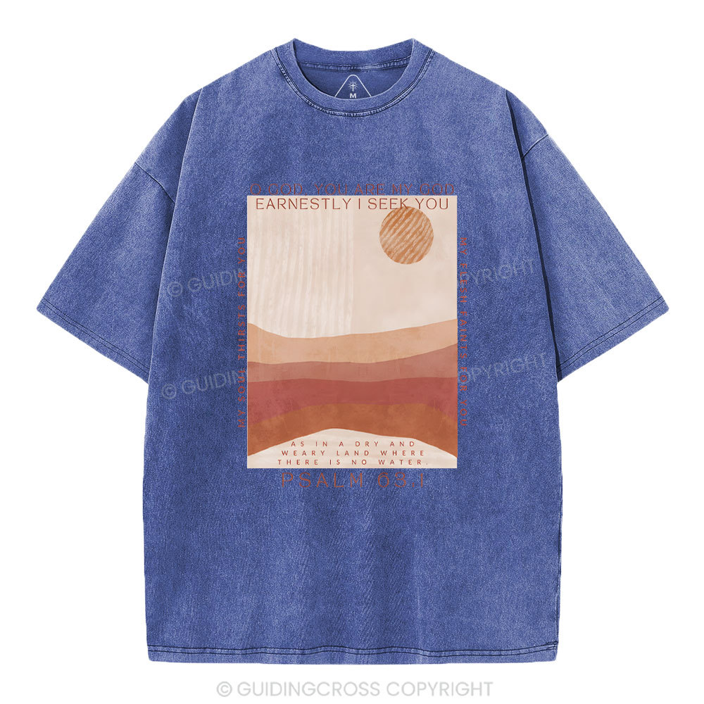 Earnestly I Seek You Christian Washed T-Shrit