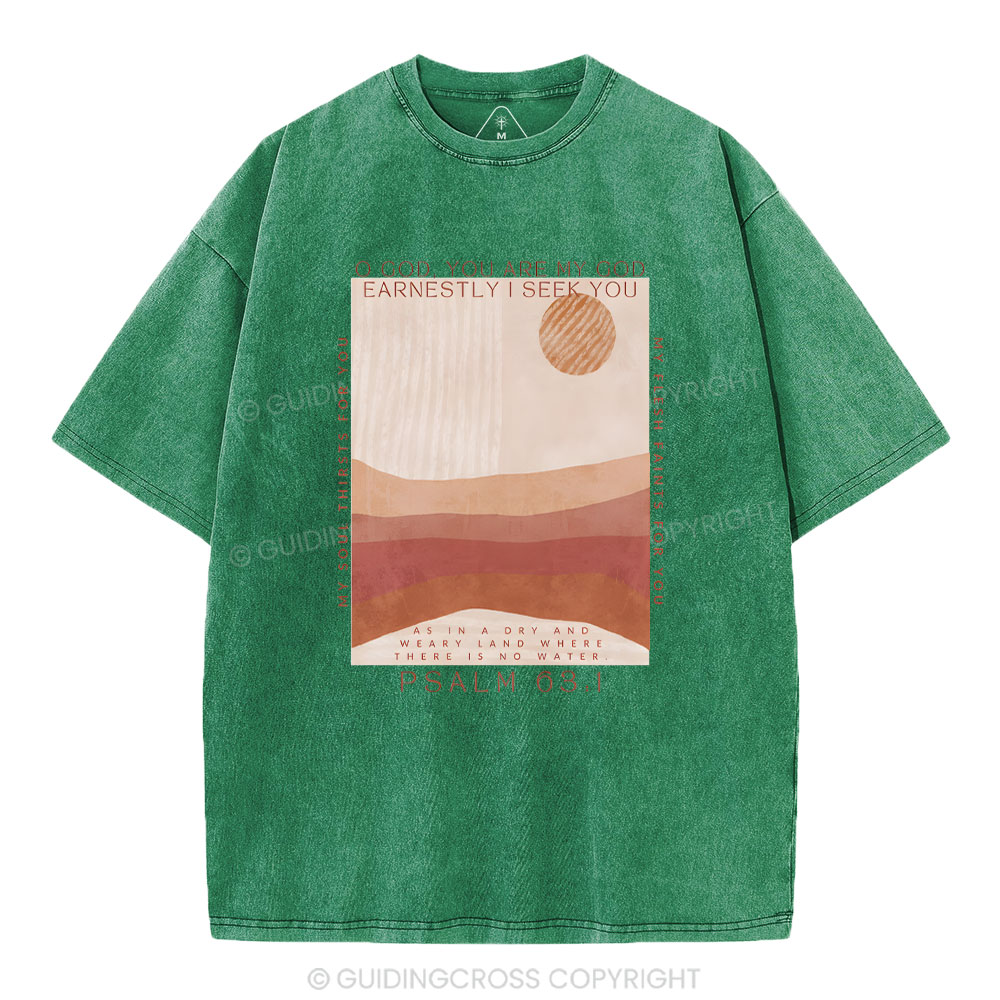 Earnestly I Seek You Christian Washed T-Shrit