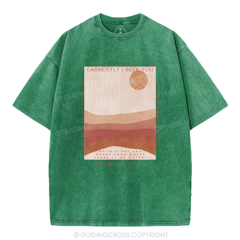 Earnestly I Seek You Christian Washed T-Shrit