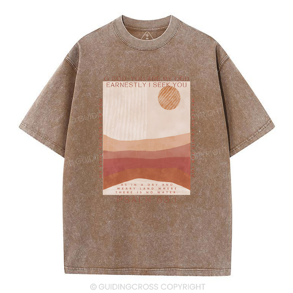 Earnestly I Seek You Christian Washed T-Shrit