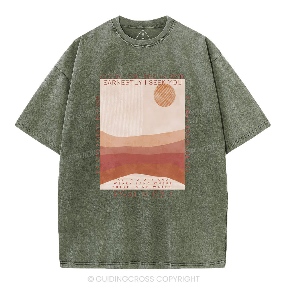 Earnestly I Seek You Christian Washed T-Shrit