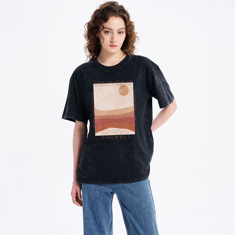 Earnestly I Seek You Christian Washed T-Shrit