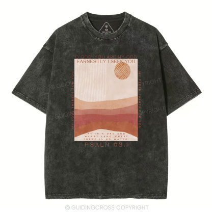 Earnestly I Seek You Christian Washed T-Shrit
