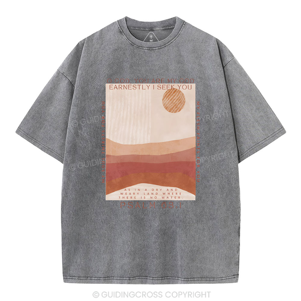 Earnestly I Seek You Christian Washed T-Shrit