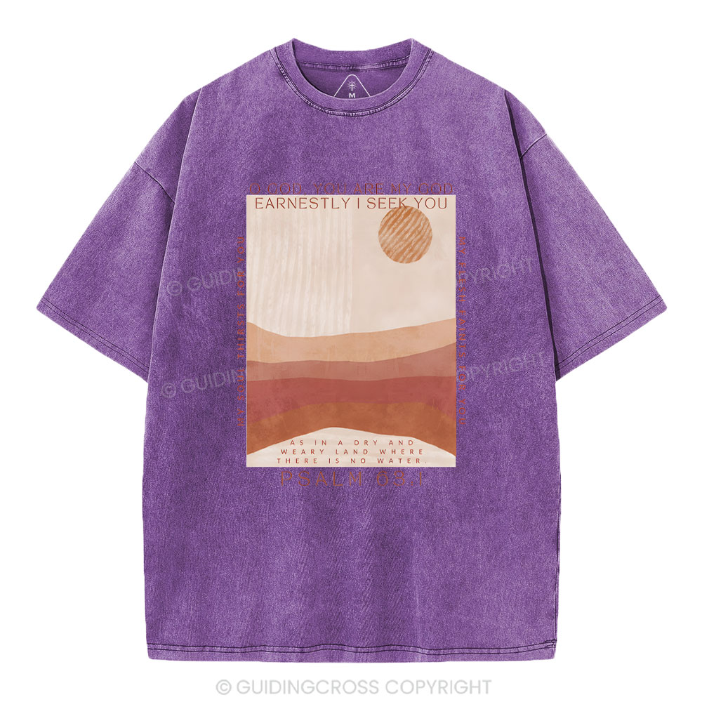 Sample Washed T-Shirt Sale - GuidingCross