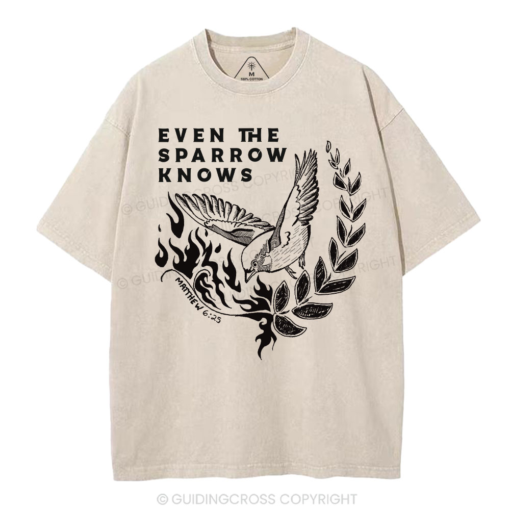 Even The Sparrow Knows Washed T-Shirt-ZP