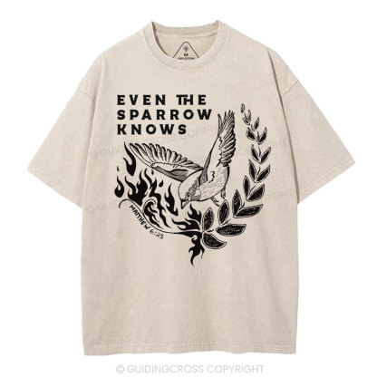 Even The Sparrow Knows Washed T-Shirt-ZP